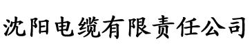 大菠萝视频在线免费观看电缆厂logo